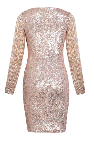 Nude Sequin Tassel Sleeve Bodycon Evening Dress