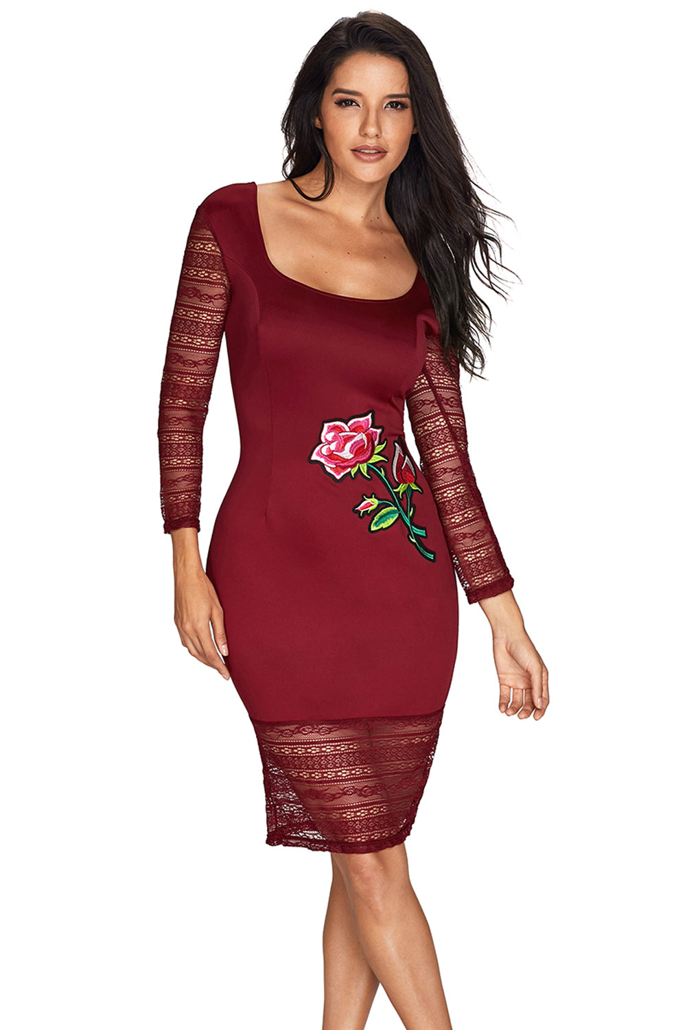 Rose Embroidery Wine Lace Mesh Bodycon Dress