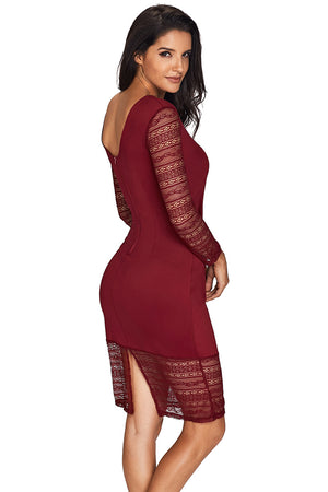 Rose Embroidery Wine Lace Mesh Bodycon Dress