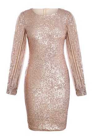 Nude Sequin Tassel Sleeve Bodycon Evening Dress