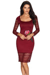 Rose Embroidery Wine Lace Mesh Bodycon Dress