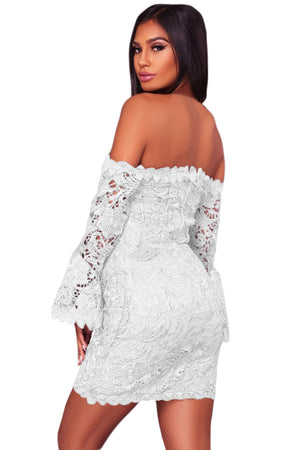 White Crochet Overlay Off The Shoulder Fitted Mini Dress